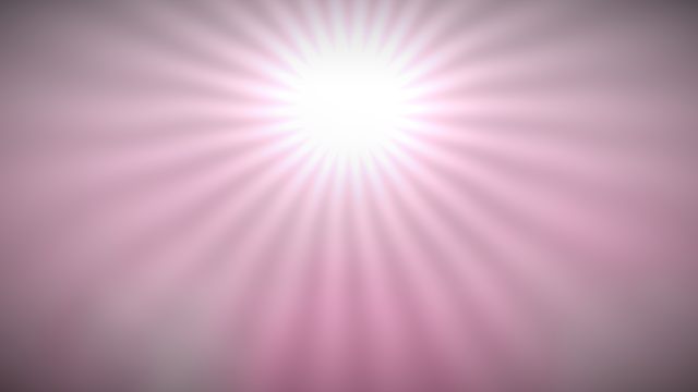 wallpaper-O2-halo-rose